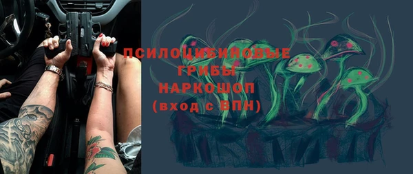индика Дмитриев