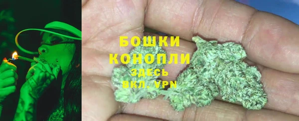 индика Дмитриев