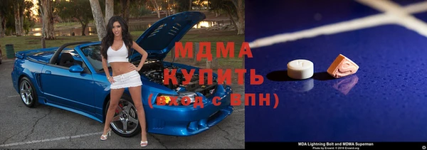 индика Дмитриев
