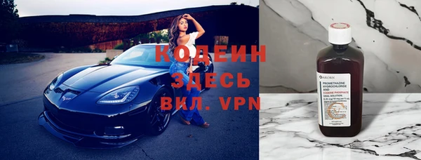 индика Дмитриев