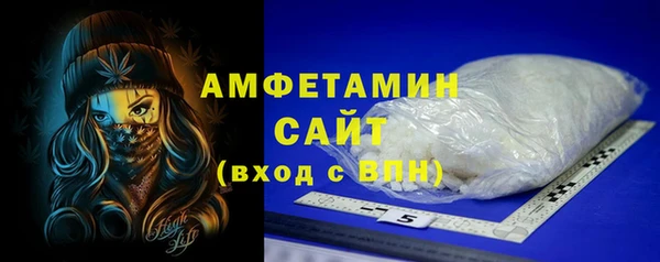 индика Дмитриев
