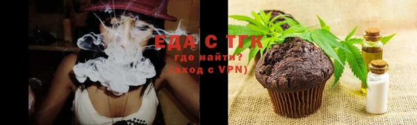 дмт Дмитров