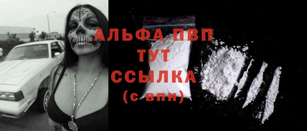 индика Дмитриев
