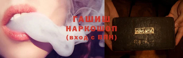 дмт Дмитров