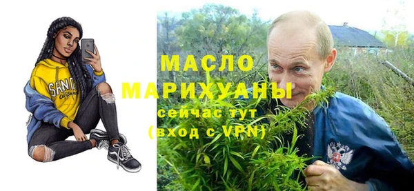 индика Дмитриев