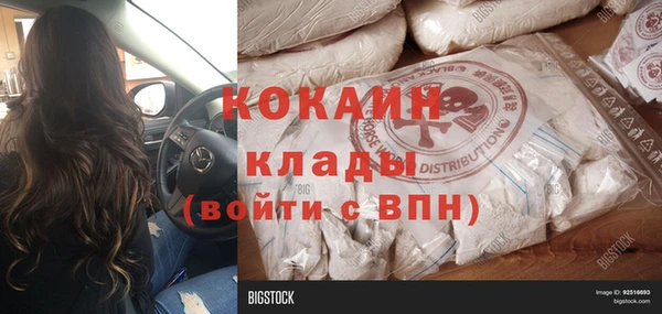 индика Дмитриев