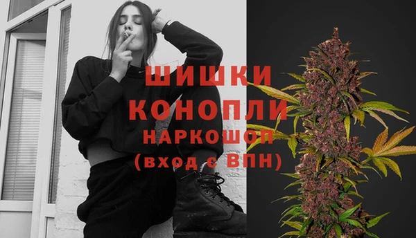 индика Дмитриев