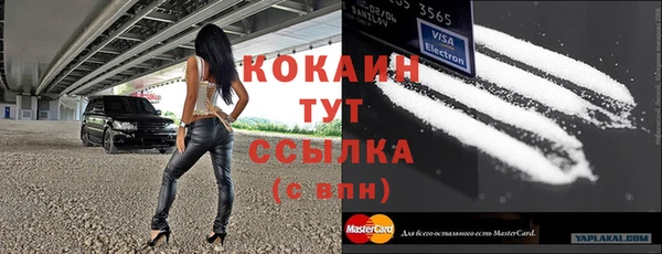 индика Дмитриев