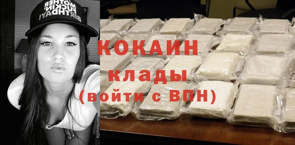 дмт Дмитров
