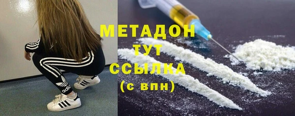 индика Дмитриев