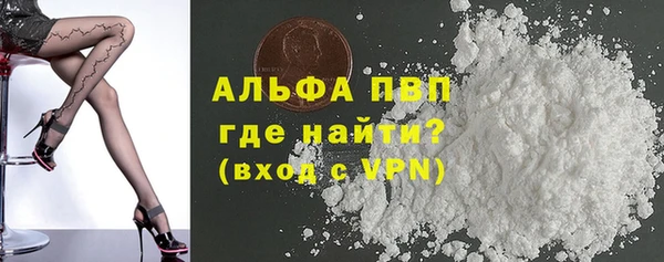 индика Дмитриев