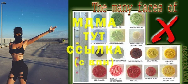 индика Дмитриев