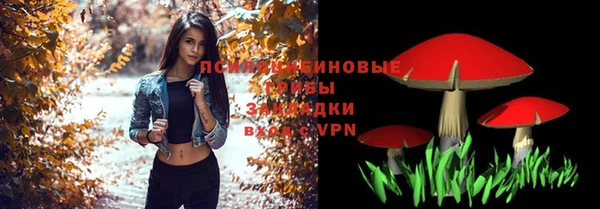 дмт Дмитров