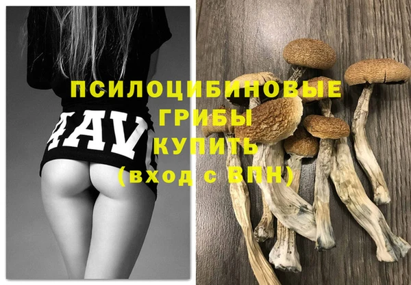 дмт Дмитров